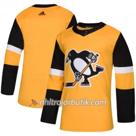 Män Ishockey Pittsburgh Penguins tröja Blank Alternate Adidas 2018-19 Authentic